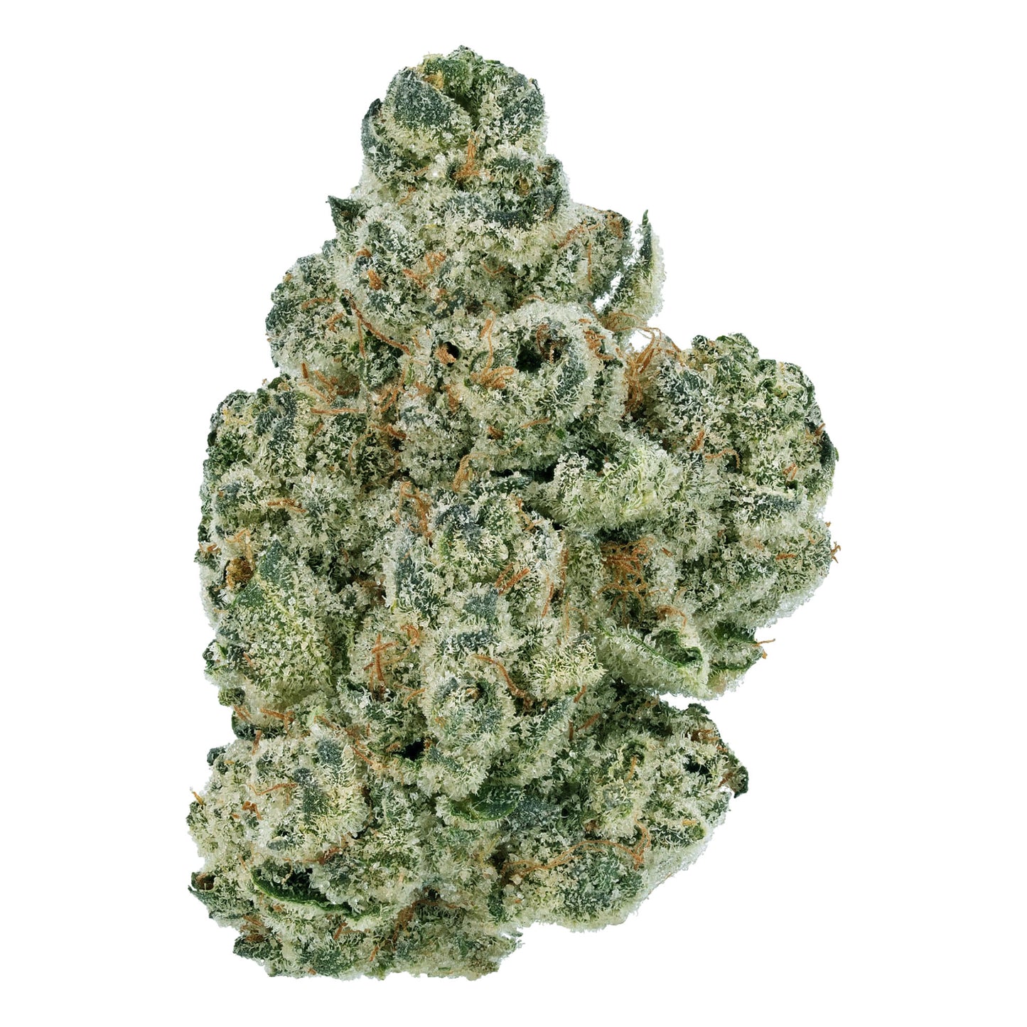 Motorhead THCa Flower