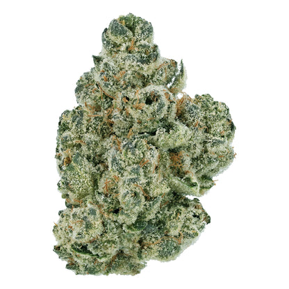 Motorhead THCa Flower