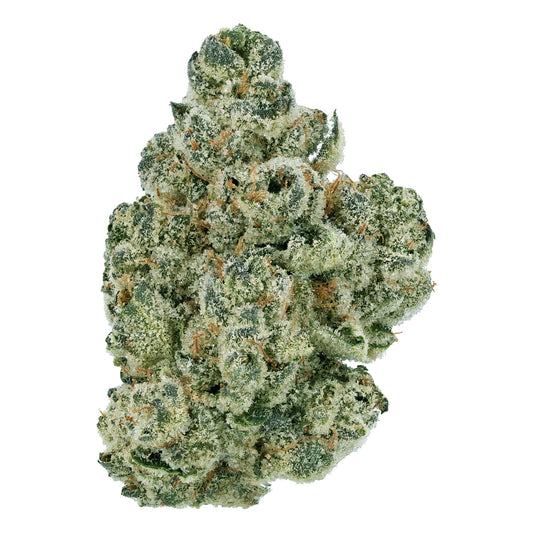 Motorhead THCa Flower